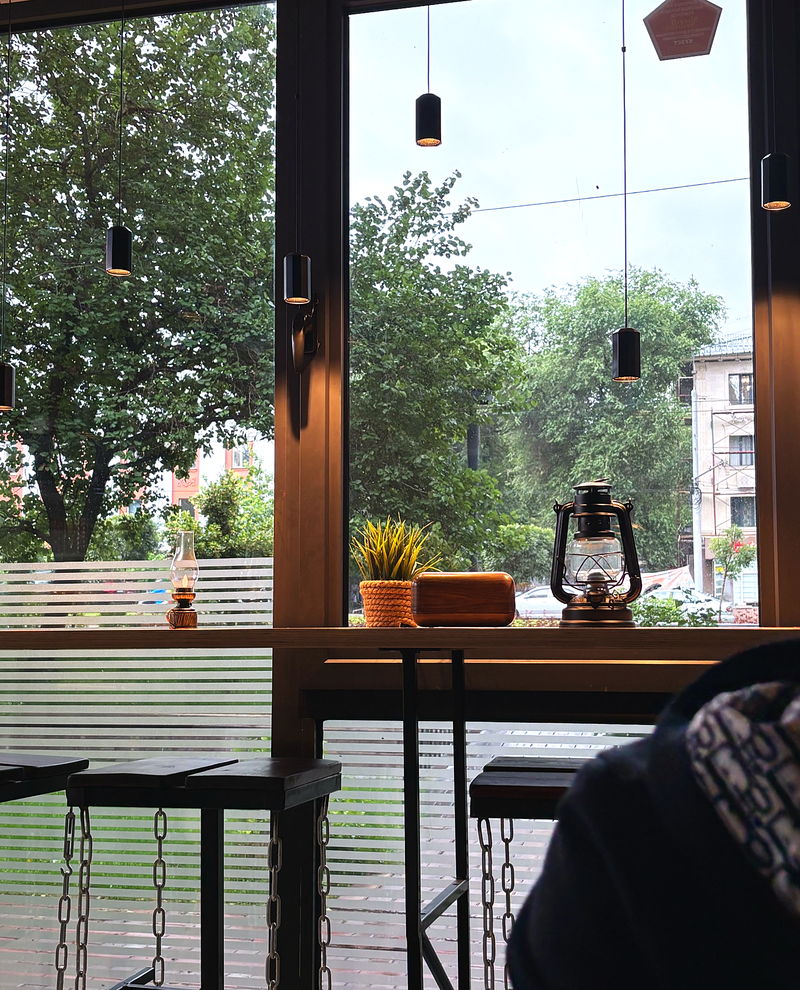 The view from the window onto the greenery of Abay Avenue